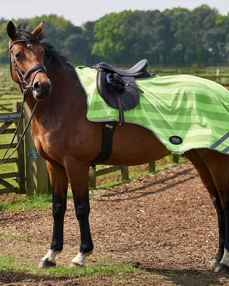Horse & Pony Rugs Turnout, Stable, Fly & Fleece Rugs