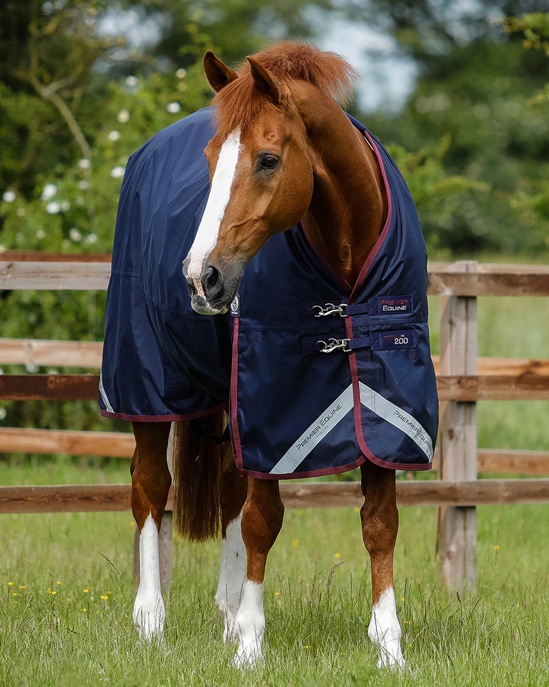 Turnout Rugs Lightweight, Medium & Heavyweight Rugs