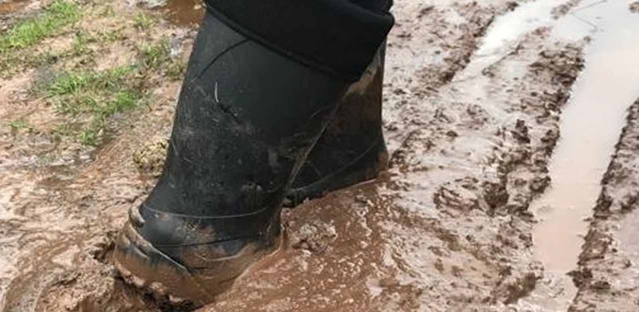 25% off all Wellies