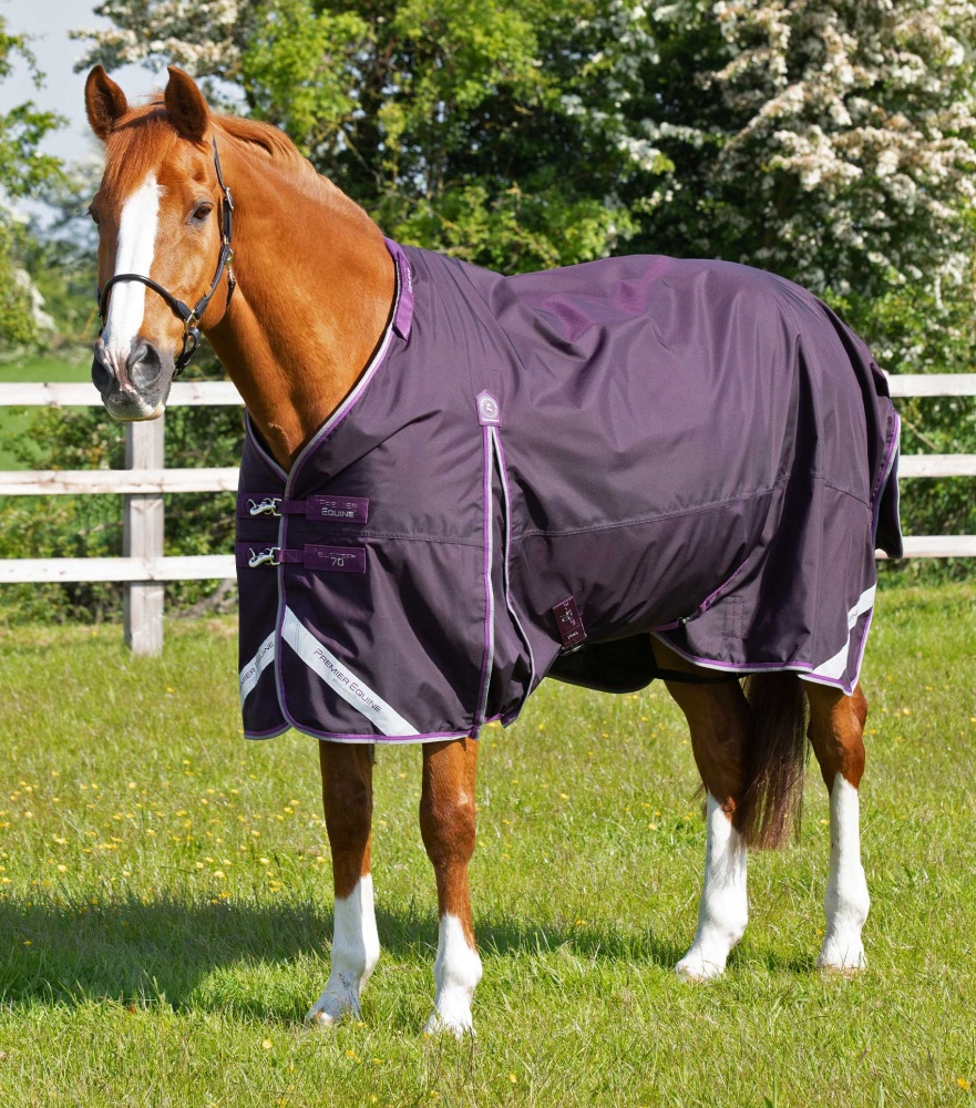 Premier Equine Buster 420g Turnout Rug with Classic Neck Cover Horse