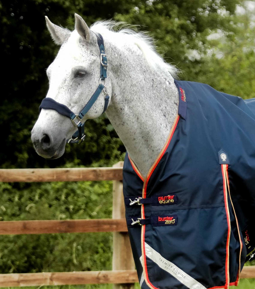 Premier Equine Akoni 0g Turnout Rug with Classic Neck Cover Horse