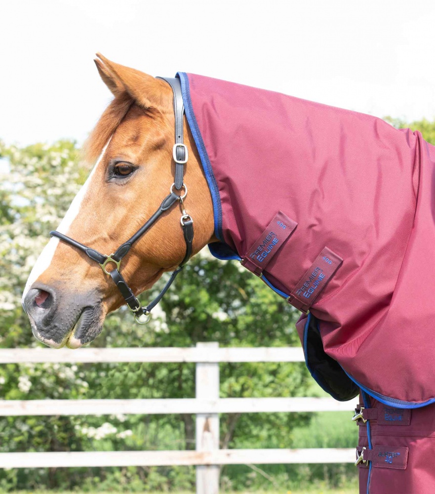 Premier Equine Buster 150g Turnout Rug with Classic Neck Cover Horse