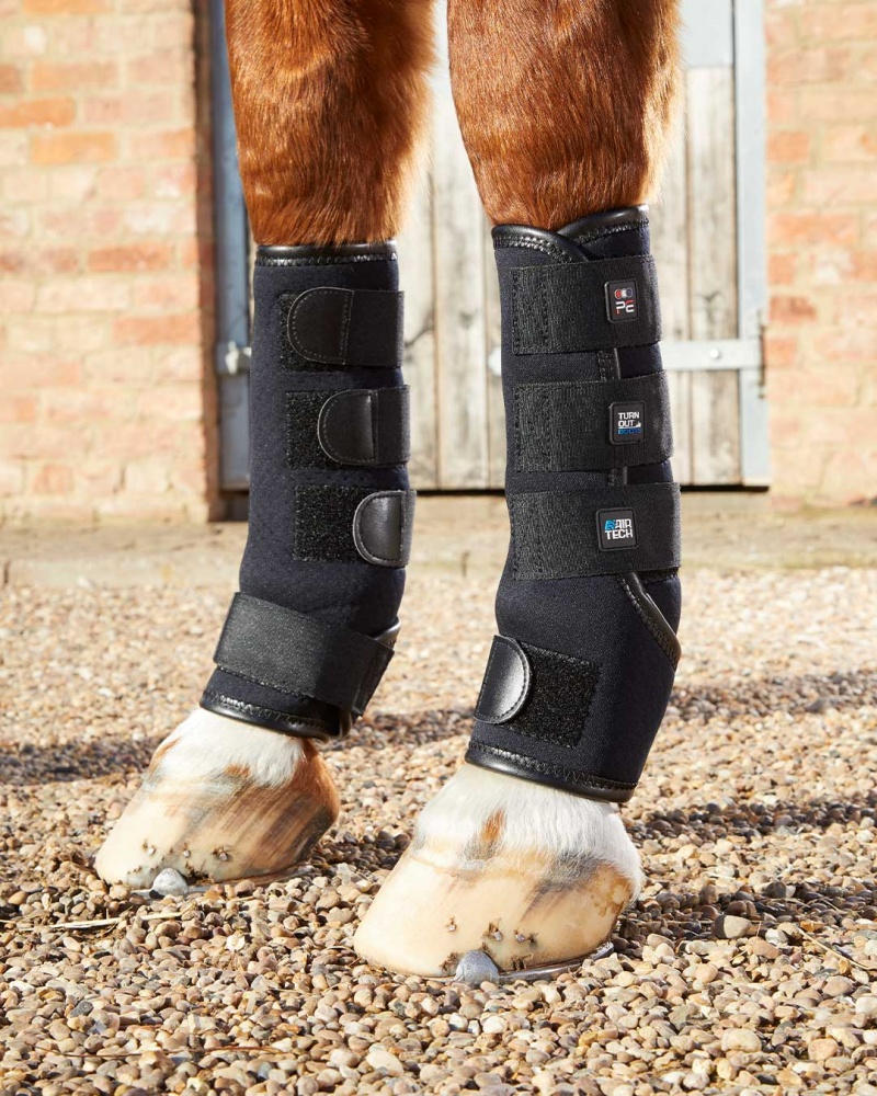 Premier Equine Horse Exercise Sheet