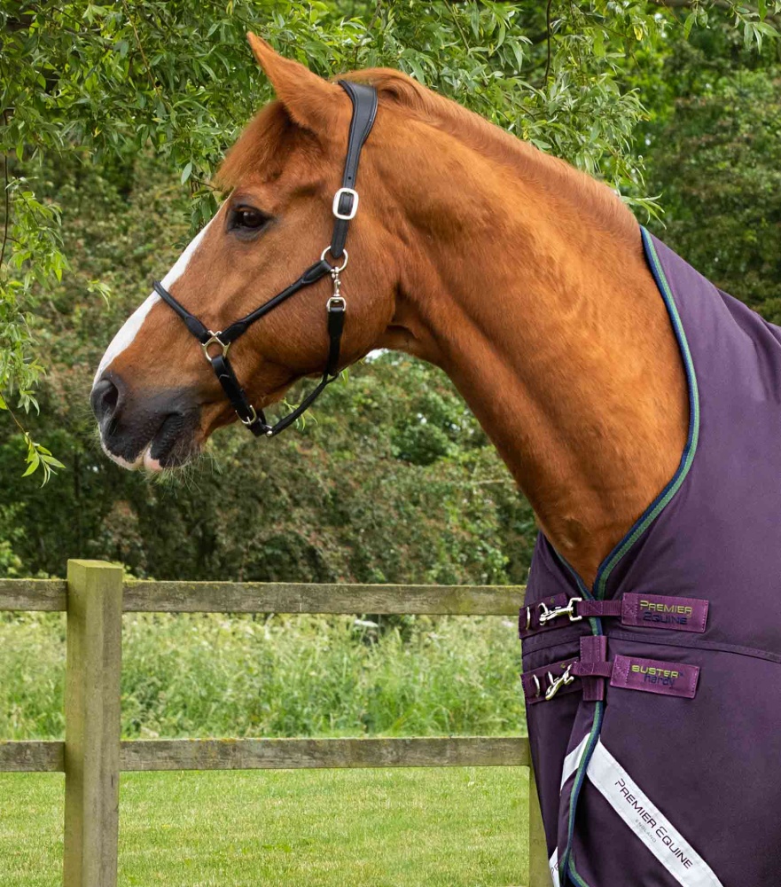 Premier Equine Buster Hardy 200g Half Neck Turnout Rug