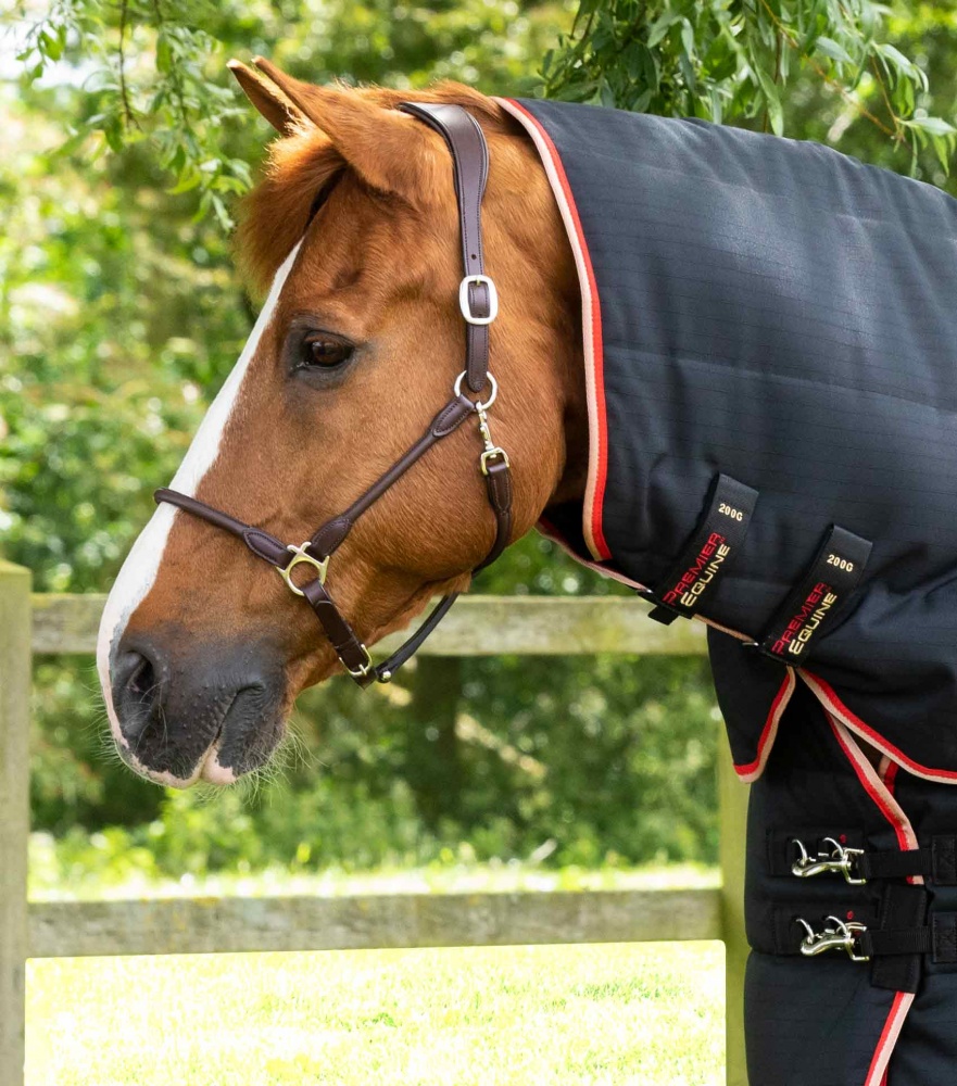 Premier Equine Stable Buster 450g Heavyweight Stable Rug