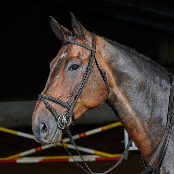 Whitaker Ready to Ride Flash Bridle