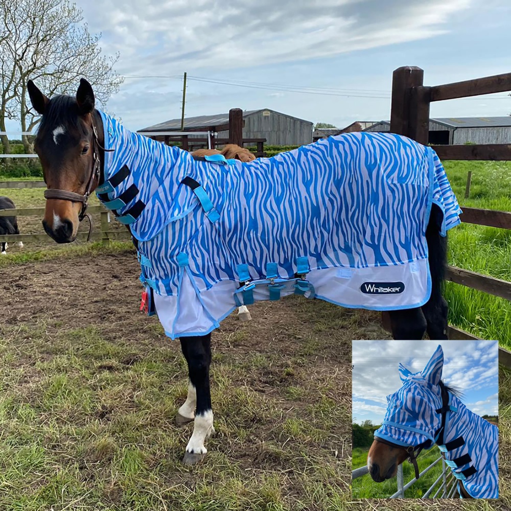 Whitaker Airton Fly Rug with Neck and Fly Mask