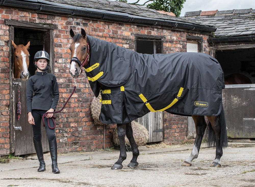 Whitaker Ludworth Combo 220GM Turnout Rug