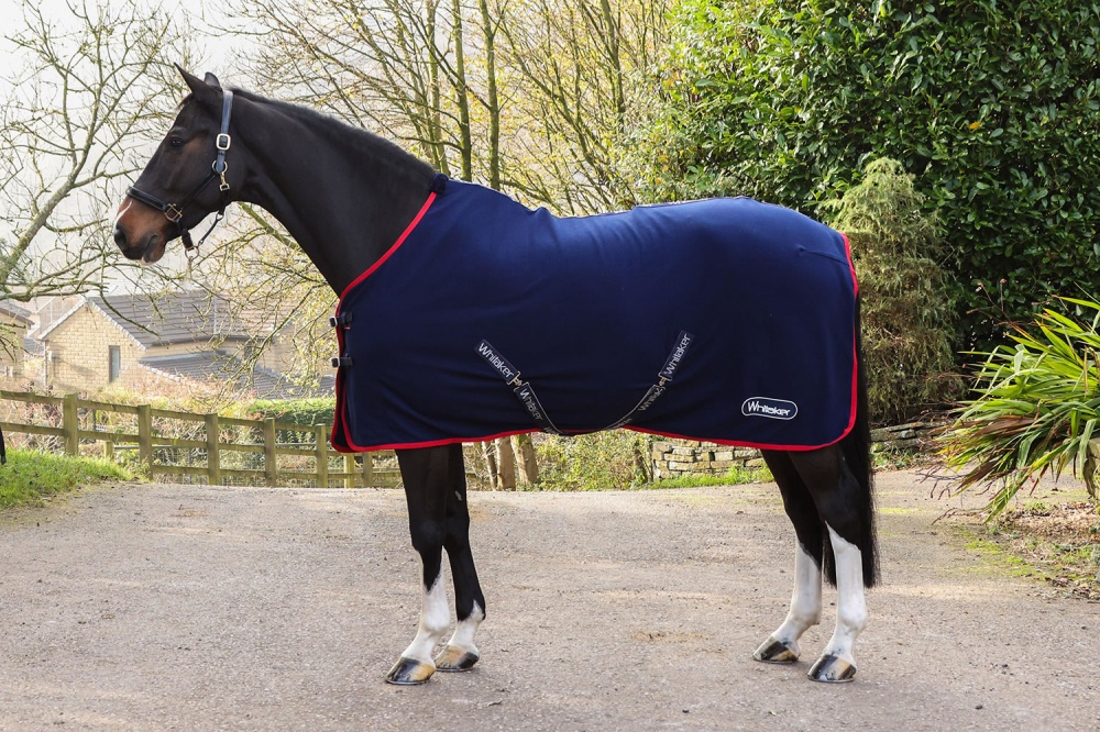 Coperta A Tasca Per Cavallo John Whitaker Rastrick 250g – Navy (blu) – Collo Staccabile – Impermeabile