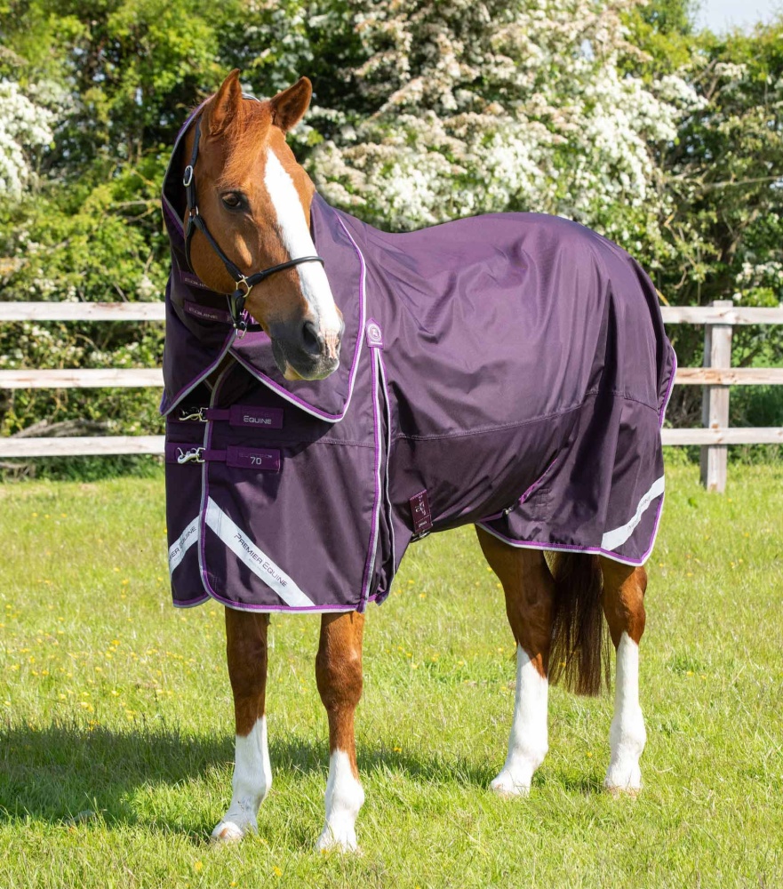 Premier Equine Buster 420g Turnout Rug with Classic Neck Cover Horse