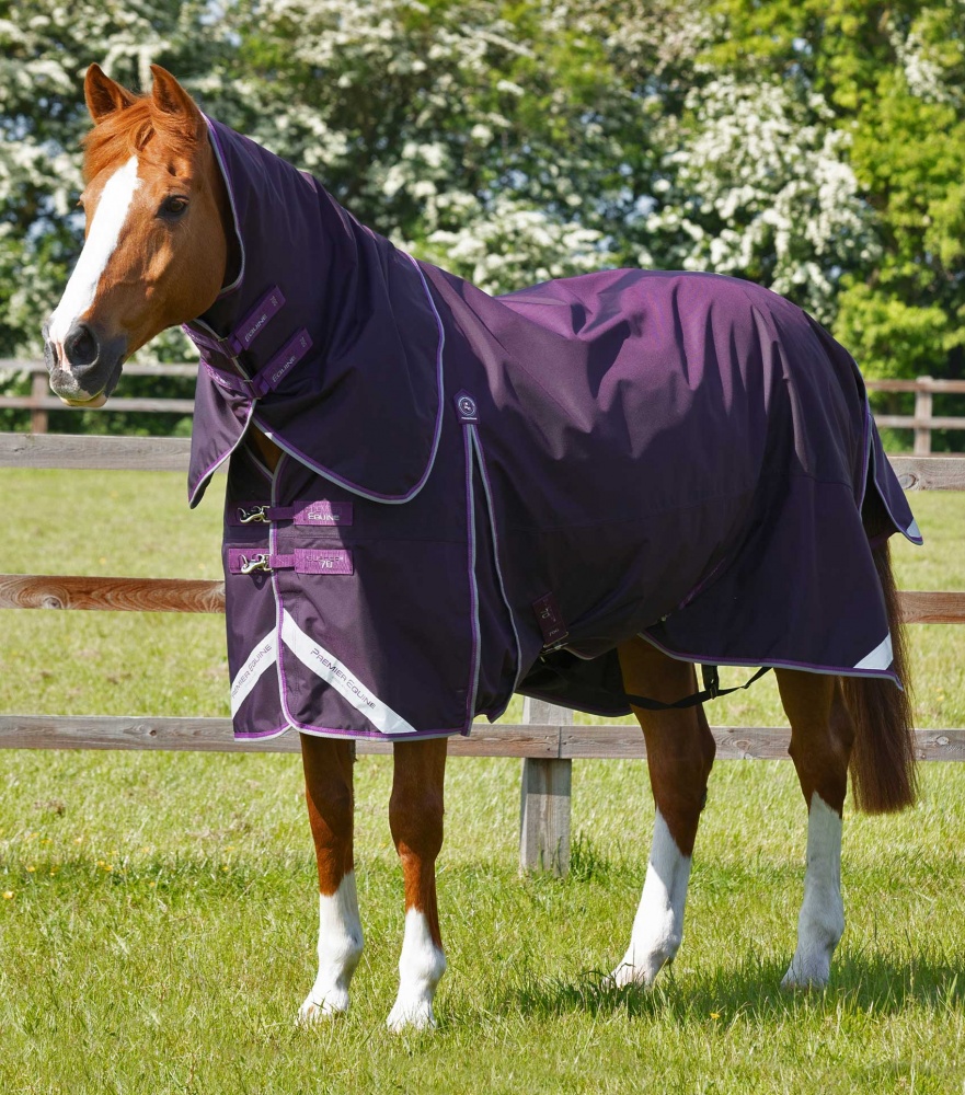 Premier Equine Buster 250g Turnout Rug with Classic Neck Cover Horse