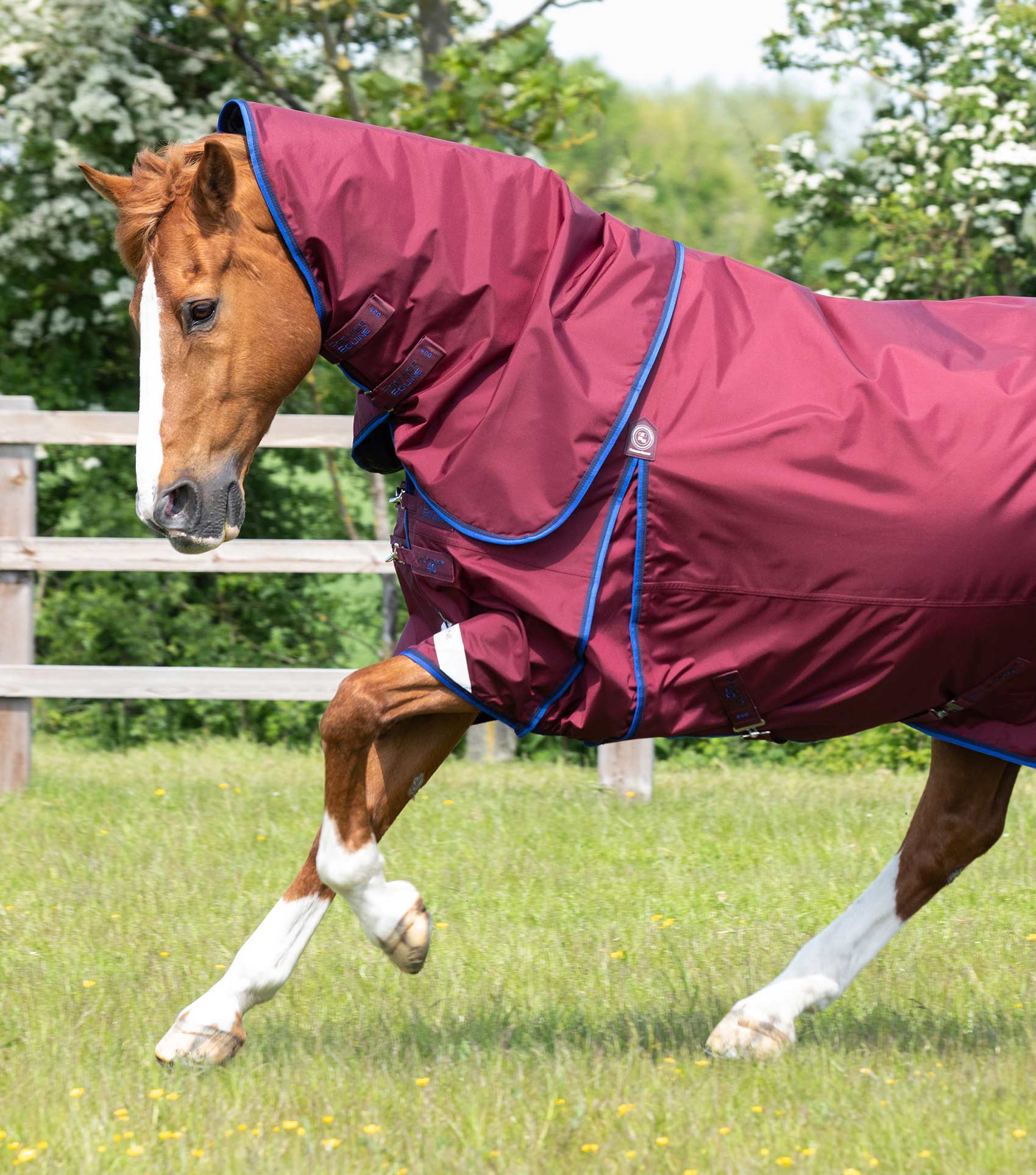 Couverture Premier Equine Buster Hardy 0g Avec Demi Cou