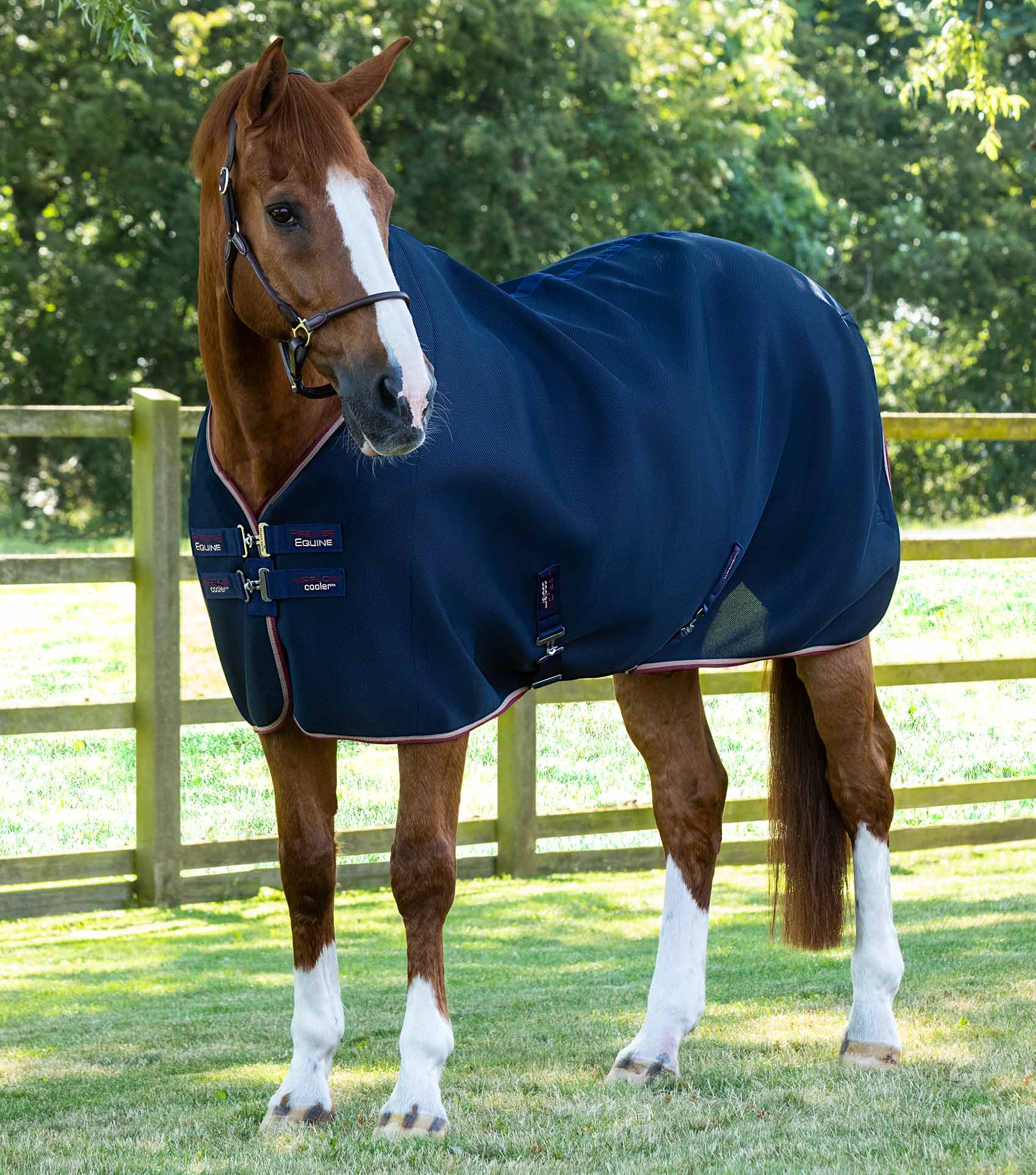 The Premier Equine Airflow Horse Cooler Rug