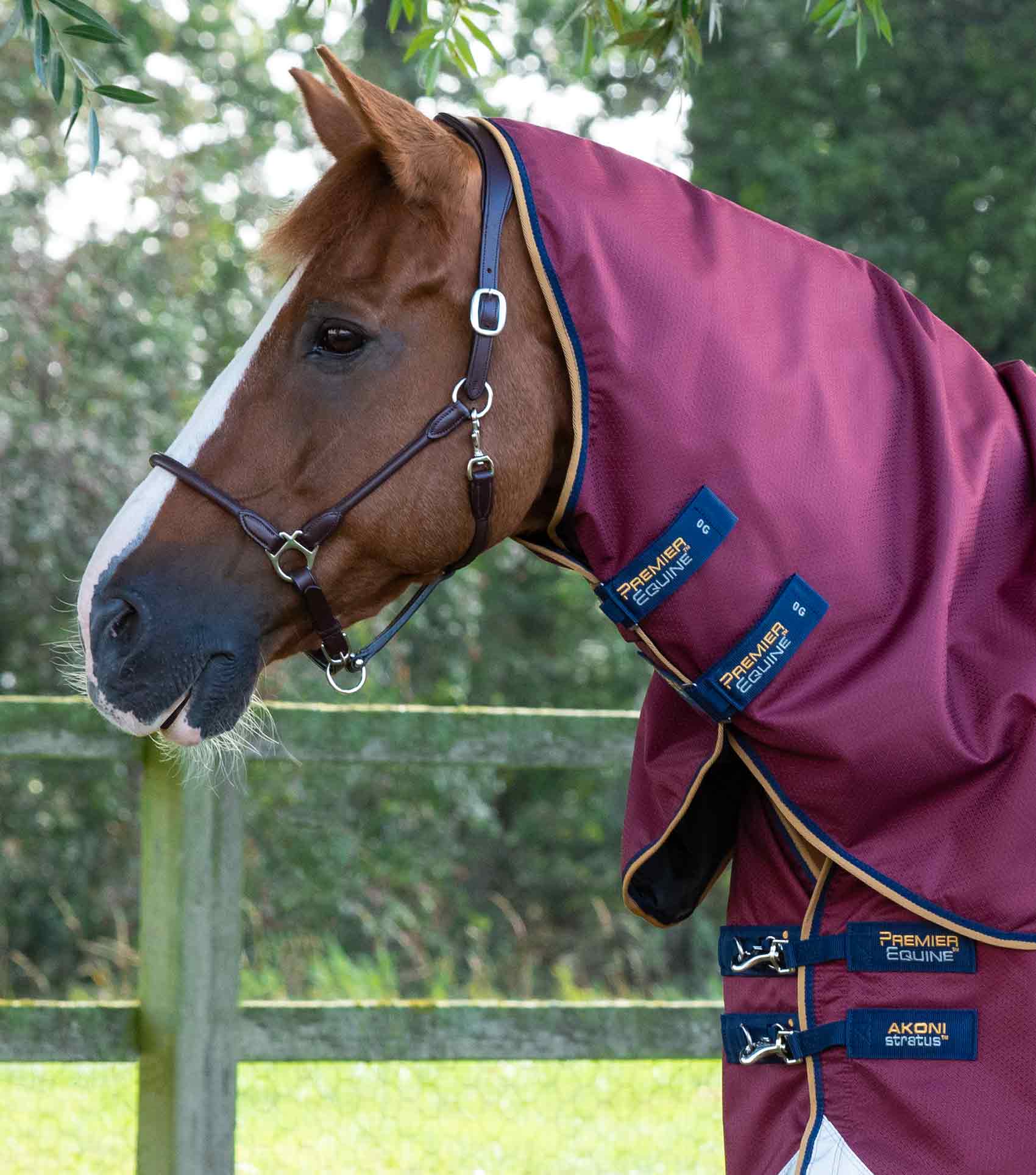 Premier Equine Akoni 0g Turnout Rug with Classic Neck Cover Horse
