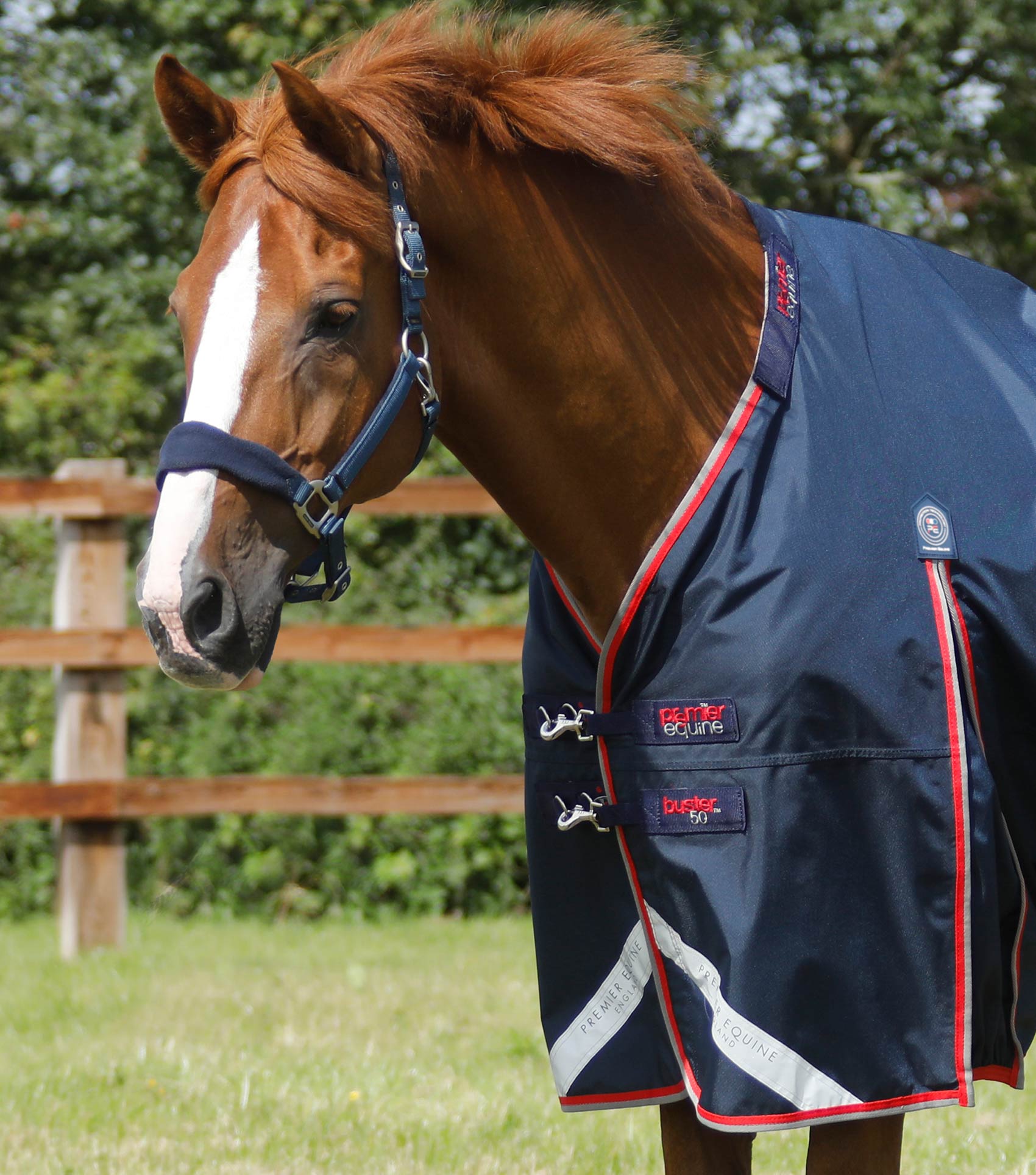 Premier Equine Buster 50g Turnout Rug with Snug-Fit Neck Cover - Picture 2 of 3