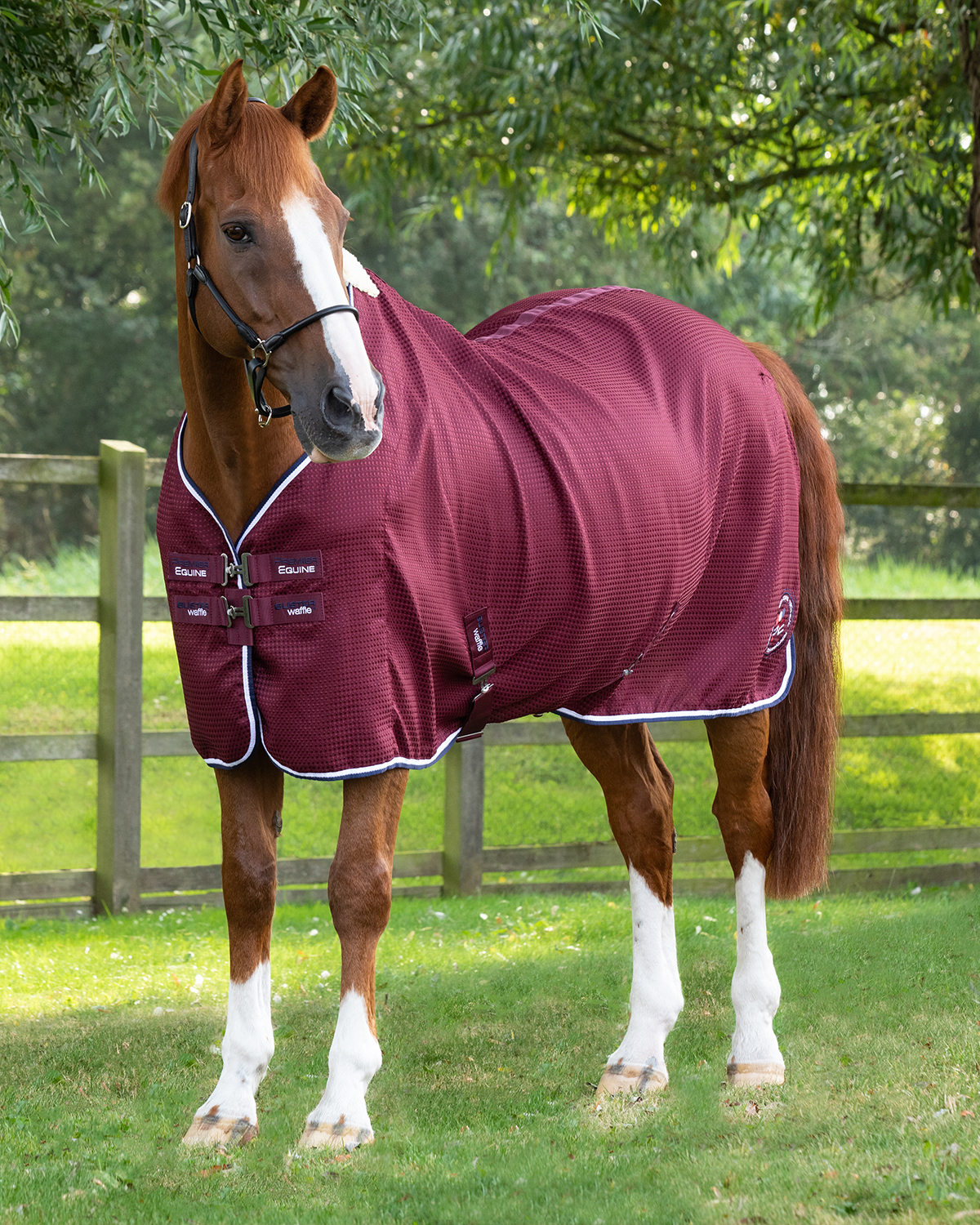 Premier Equine Buster Waffle Horse Cooler Rug