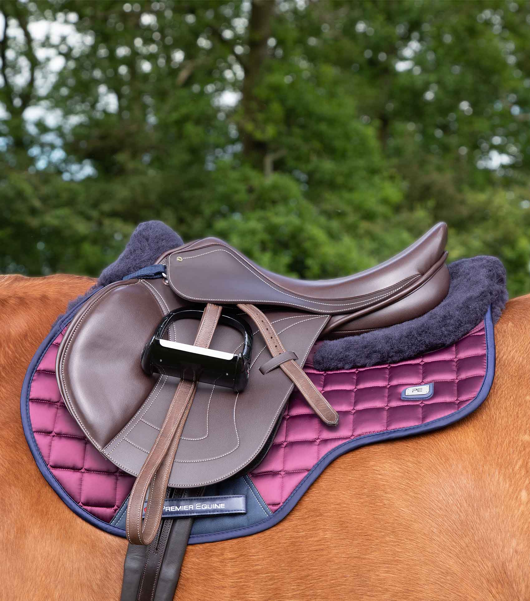 Premier Equine Capella Close Contact Dressur aus Merinowolle eckig - Bild 13 von 13