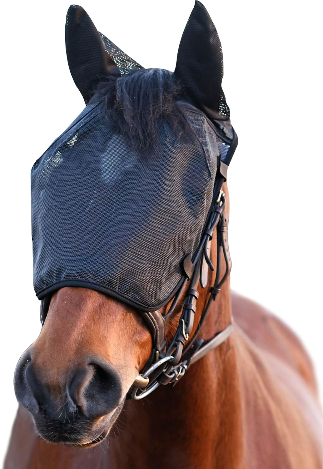 Equilibrum Net Relief riding Mask