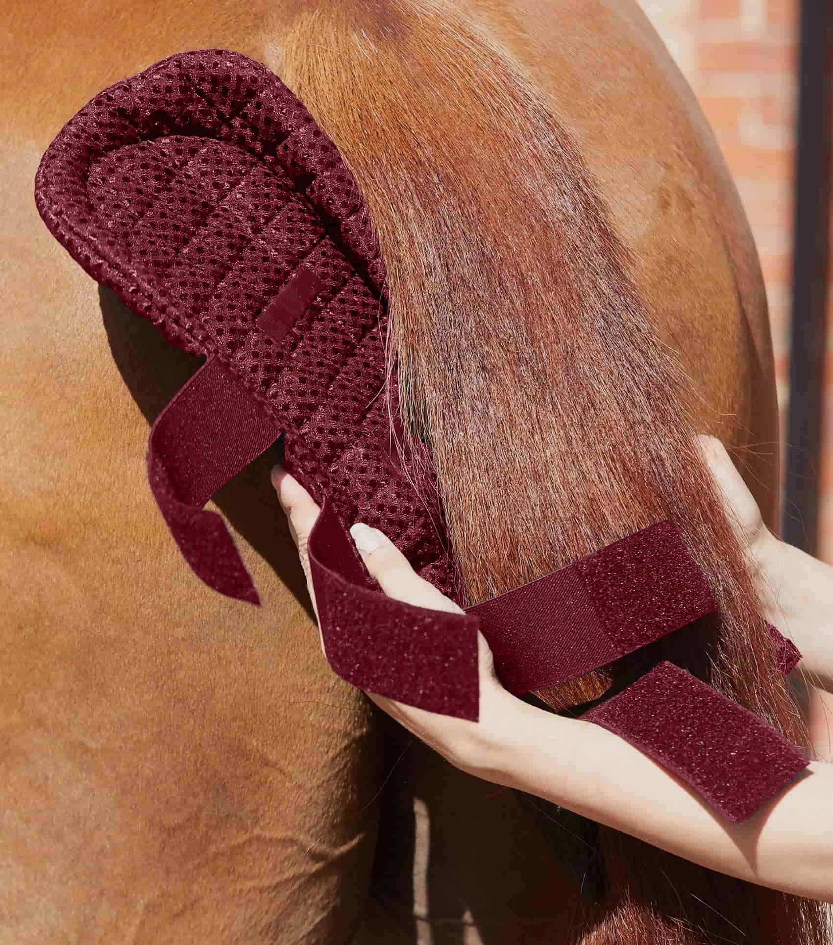 Padded horse tail guard Premier Equine | La sellerie de Maé