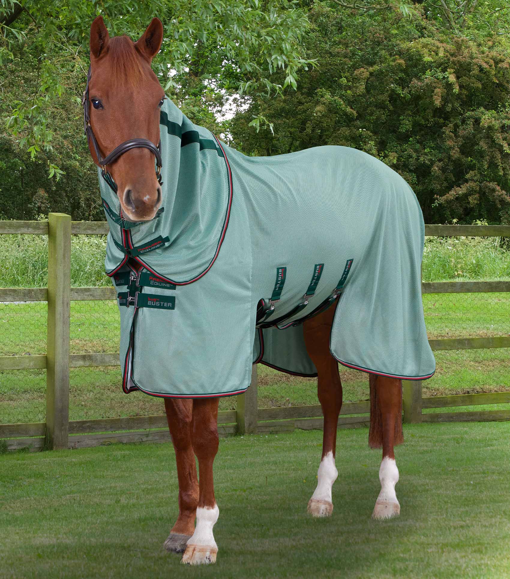 Premier Equine Bug Buster Horse Fly Rug with Removable Neck and Belly Flap - Picture 9 of 9