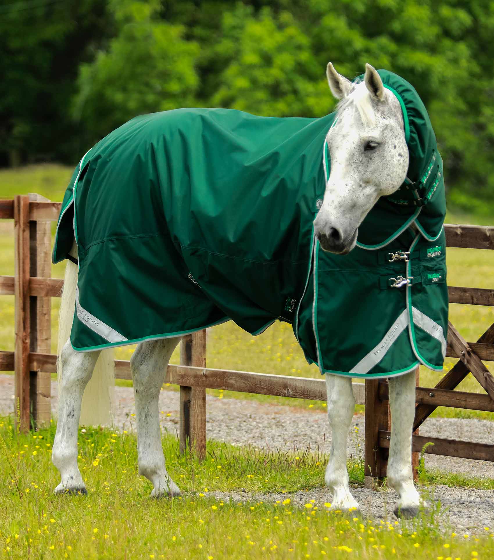 Premier Equine Buster 200g Turnout Rug with SnugFit Neck Cover Horse
