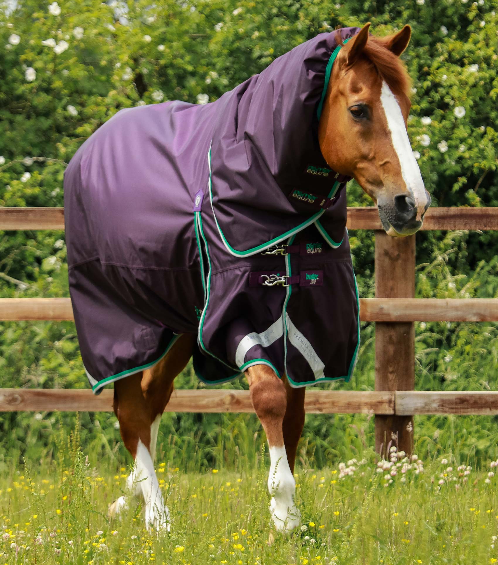 200g Turnout Rug 6ft