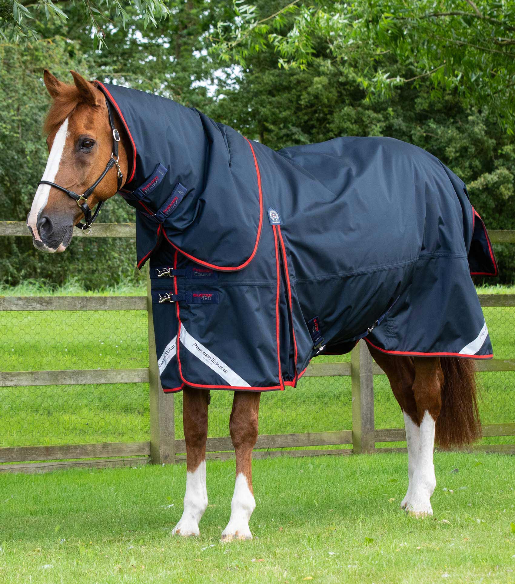 Premier Equine Buster 420g Turnout Rug with Classic Neck Cover Horse Rider Pet and Yard