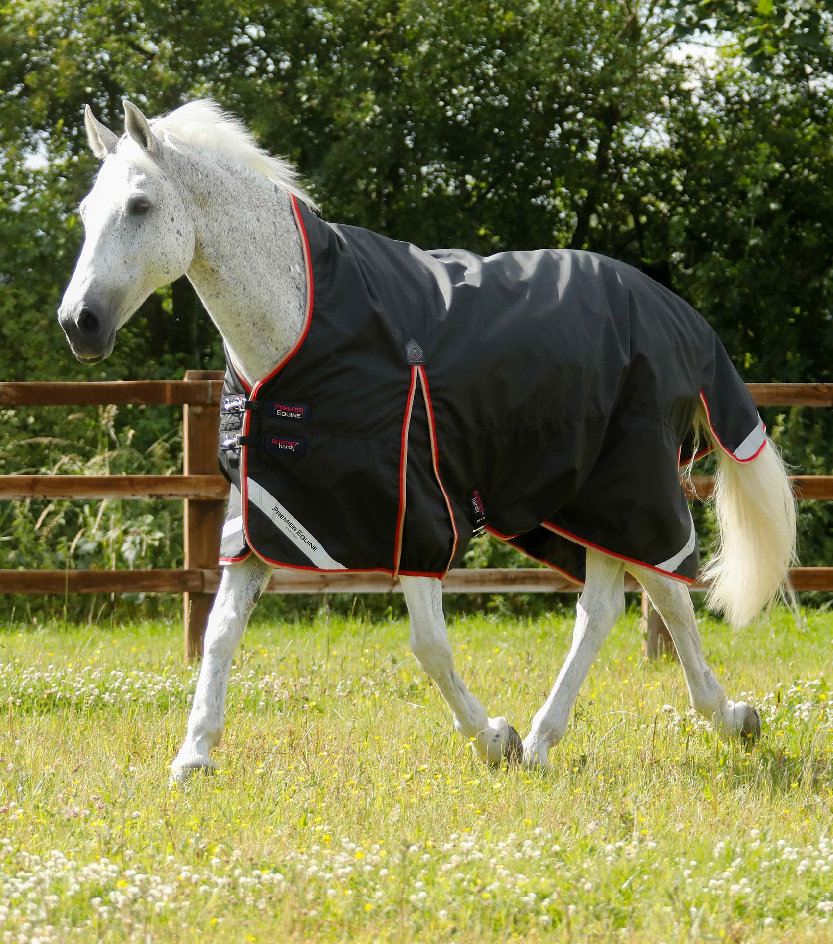 Premier Equine Buster Hardy 100g Half Neck Turnout Rug - Picture 3 of 3
