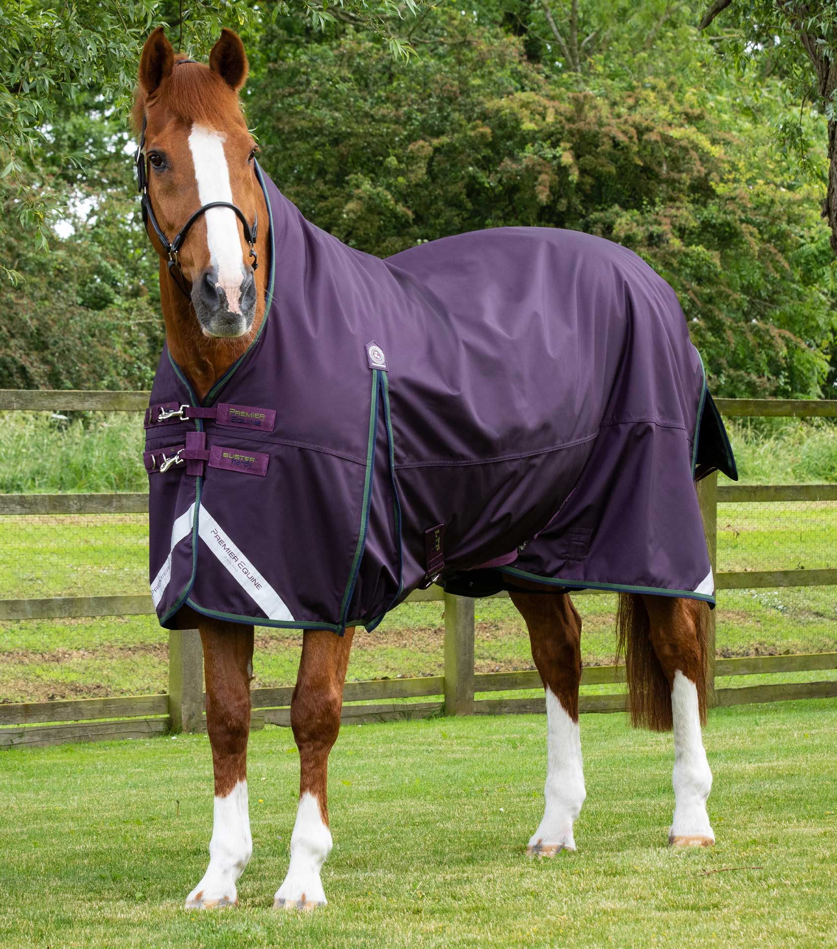 Premier Equine Buster Hardy 100g Half Neck Turnout Rug - Picture 2 of 3