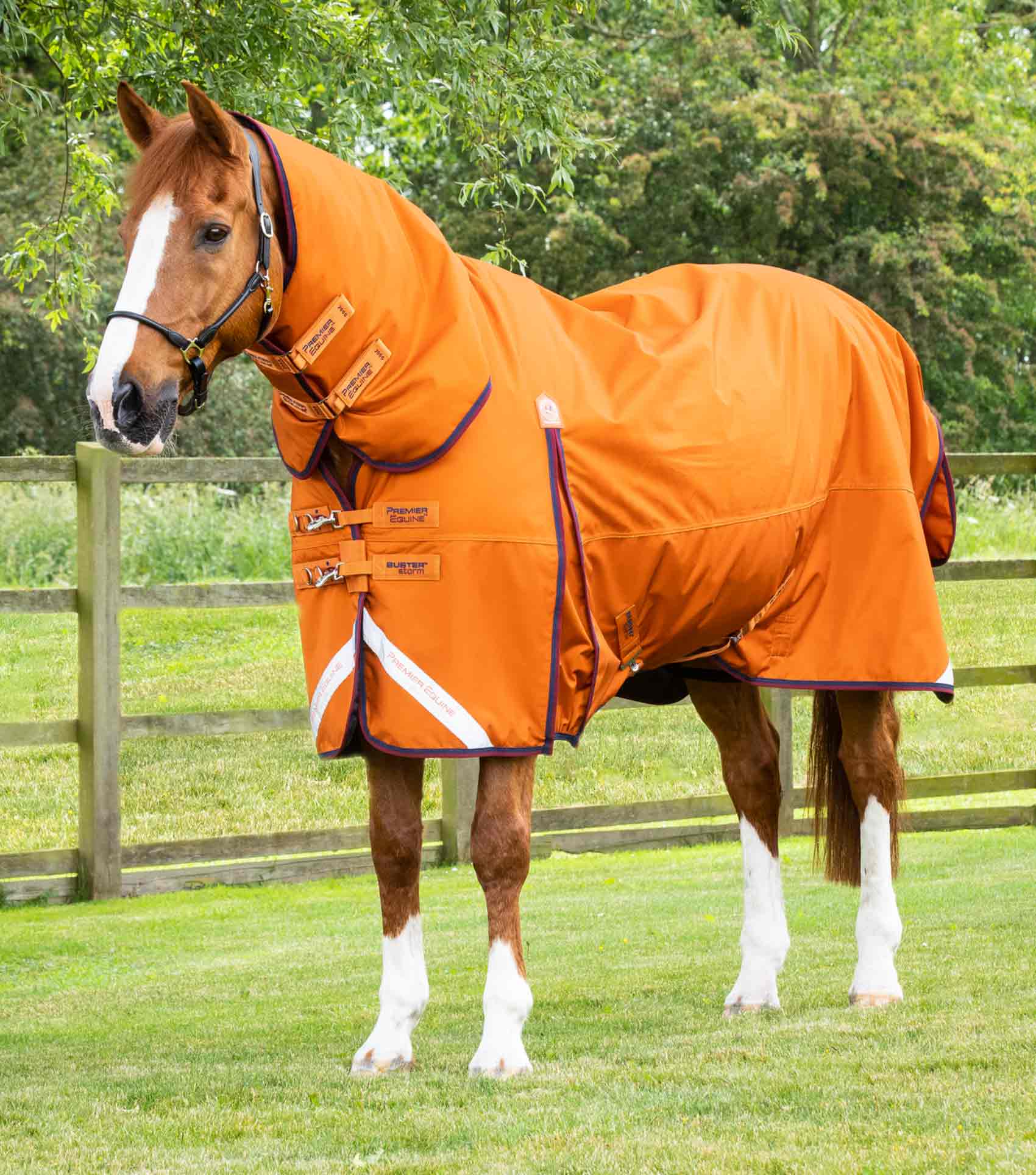 Premier Equine Buster Storm 200g Combo Turnout Rug with Classic Neck