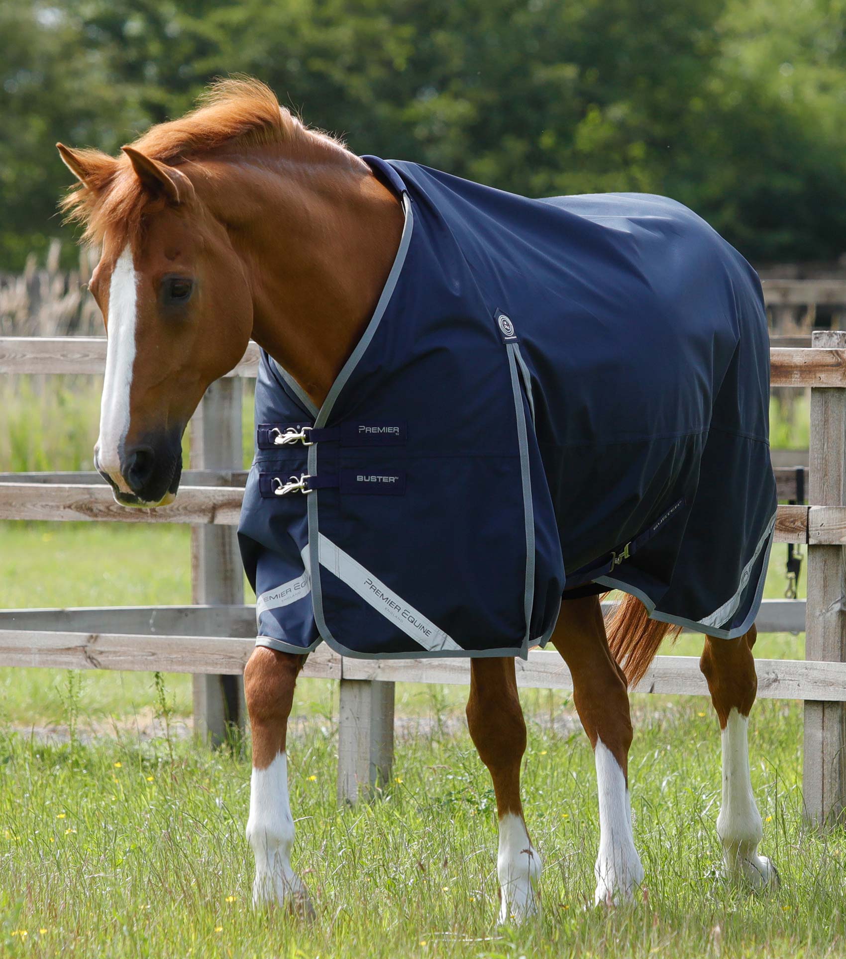 Couverture Premier Equine Buster Zero | Couverture D'extérieur Couverture Premier Equine Buster Zero | Couverture D'extérieur
