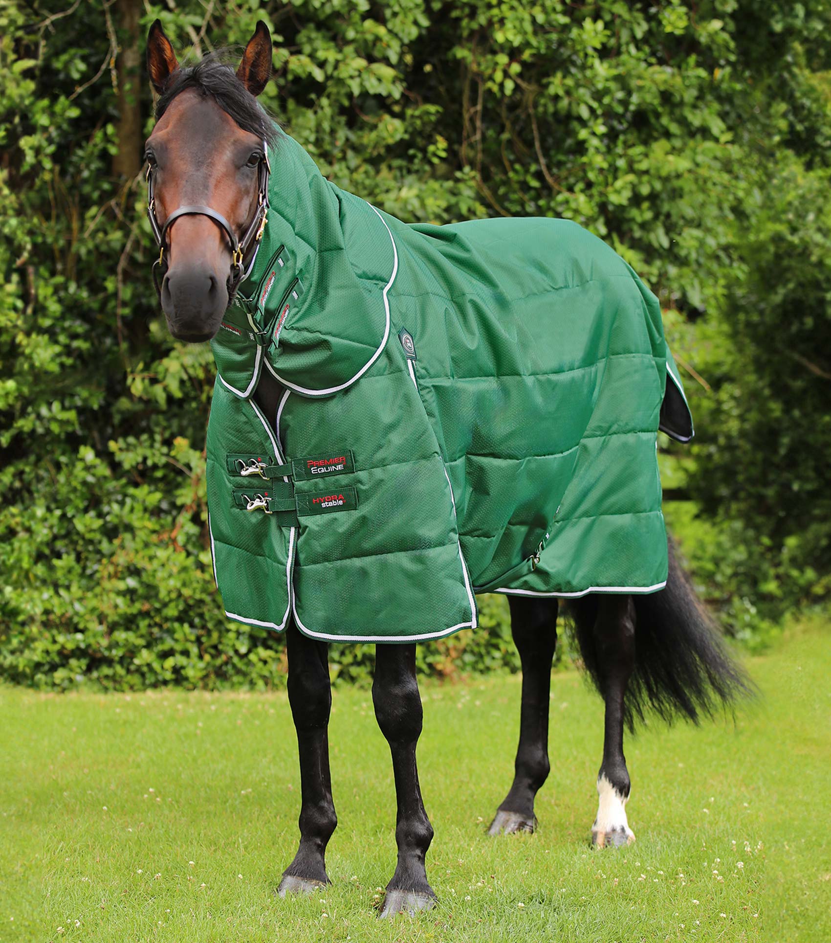 Premier Equine Hydra 200G Stable Rug With Neck Cover - Picture 3 of 3