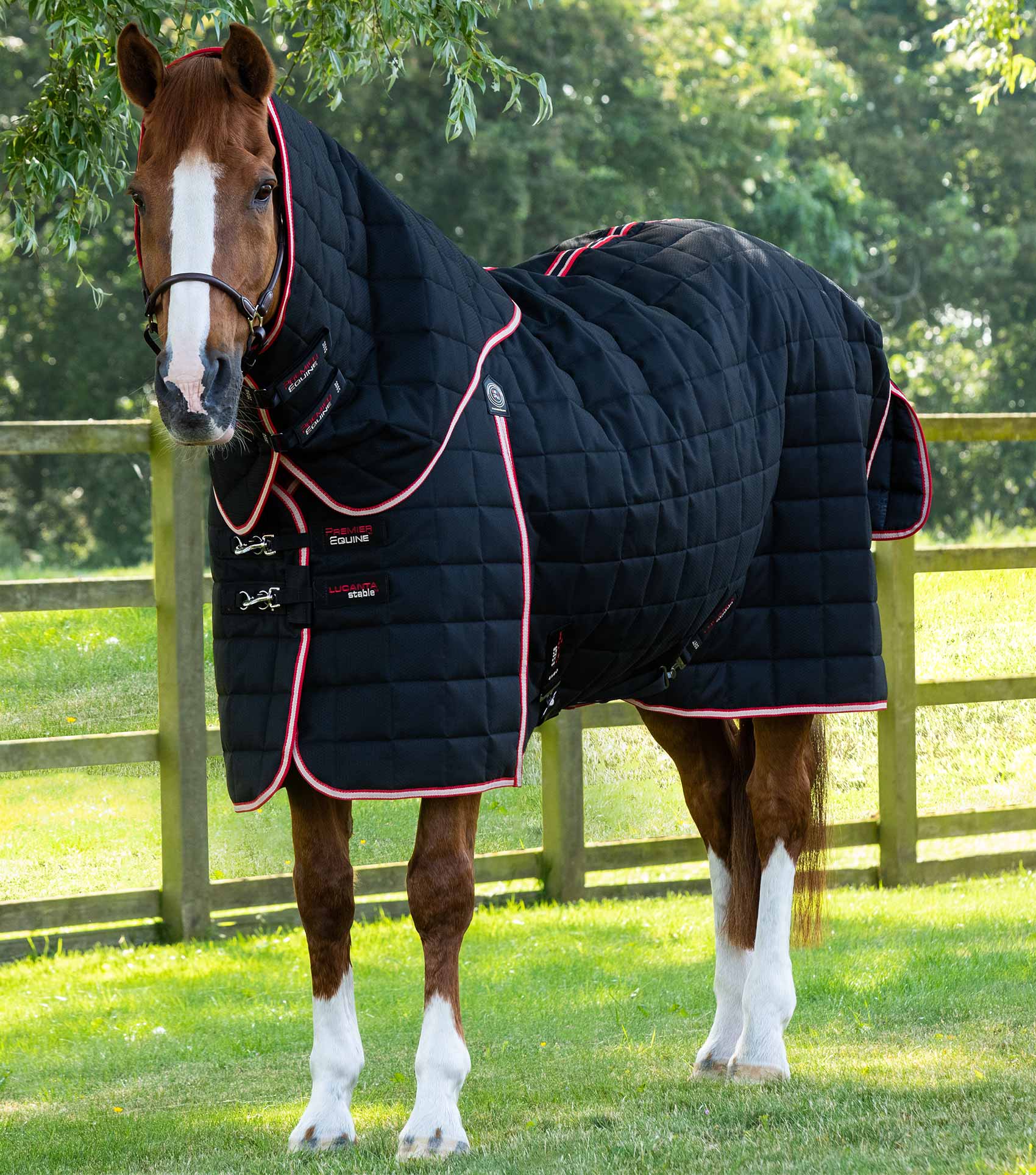 Premier Equine Lucanta 450g Stable Horse Rug with Neck Cover