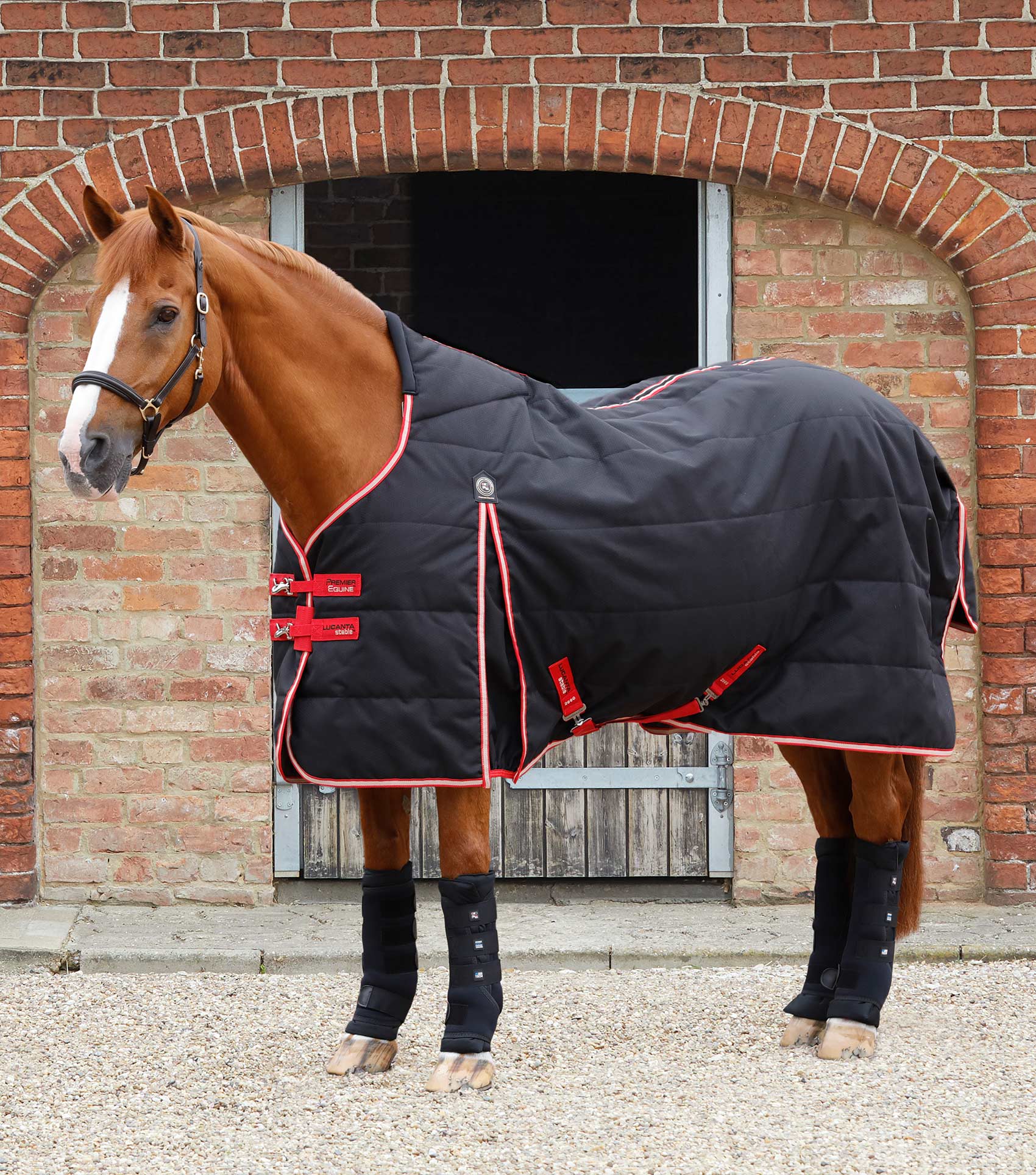 Premier Equine Lucanta Demi Stable Rug 200g Desirable Equine