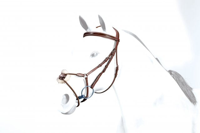 Equipe grackle patent bridle elastic noseband and reins