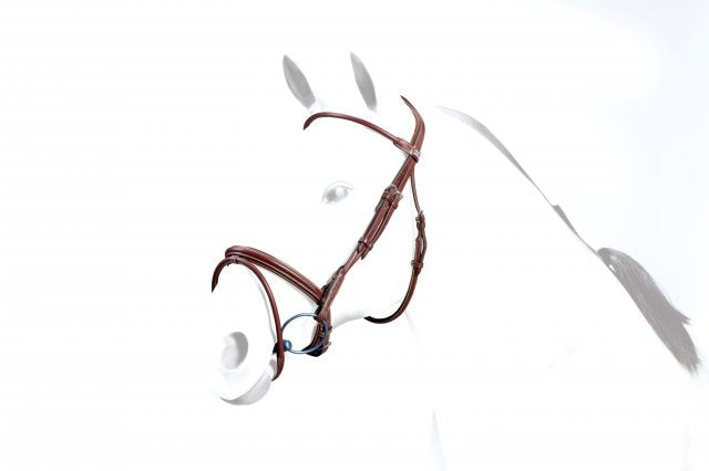Equipe flash bridle rolled with reins