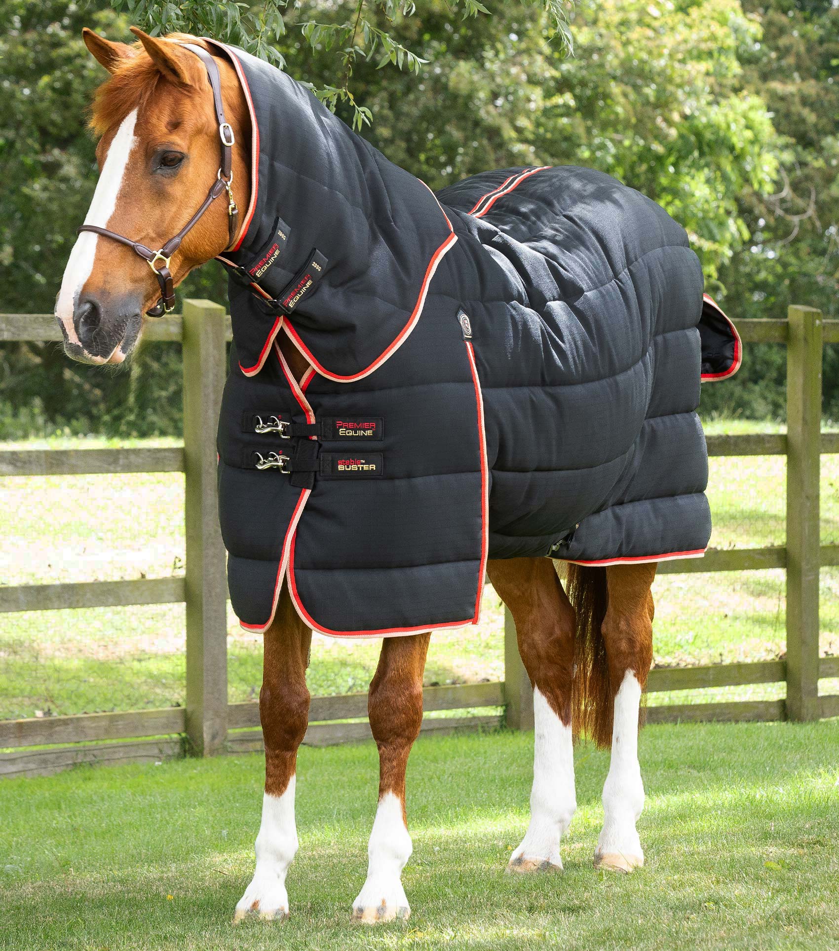 Stable Rug For Cobs Premier Equine Buster Horse Stable Rug with Neck Cover 200g