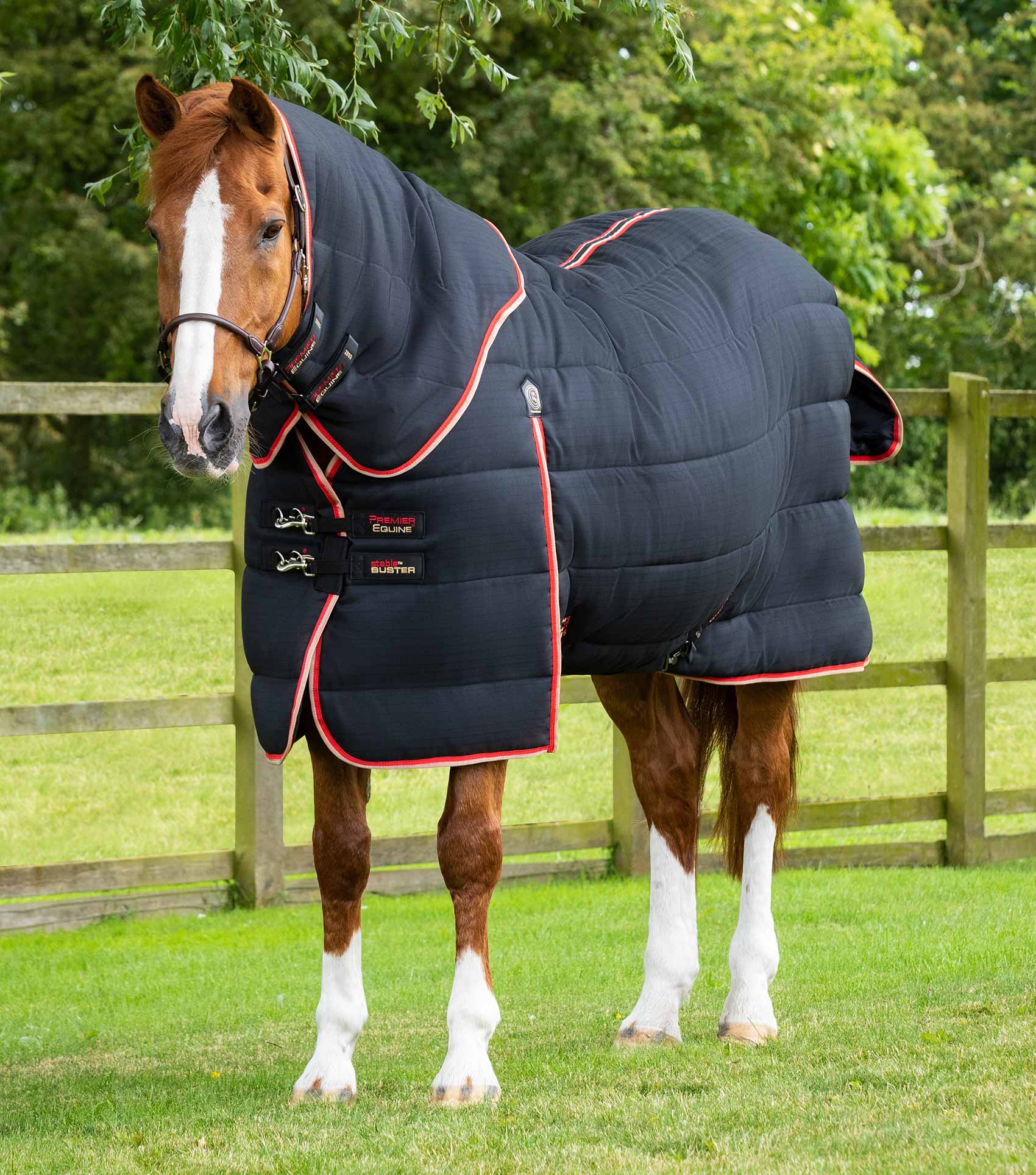 Premier Equine Stable Buster 450g Heavyweight Stable Rug Desirable Equine