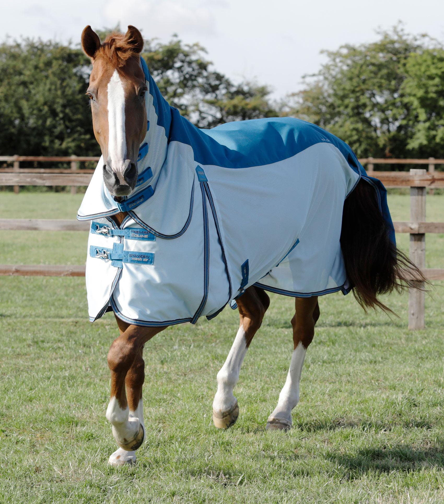 Premier Equine Stay-Dry Mesh Air Fly Rug with Surcingles - Picture 9 of 9