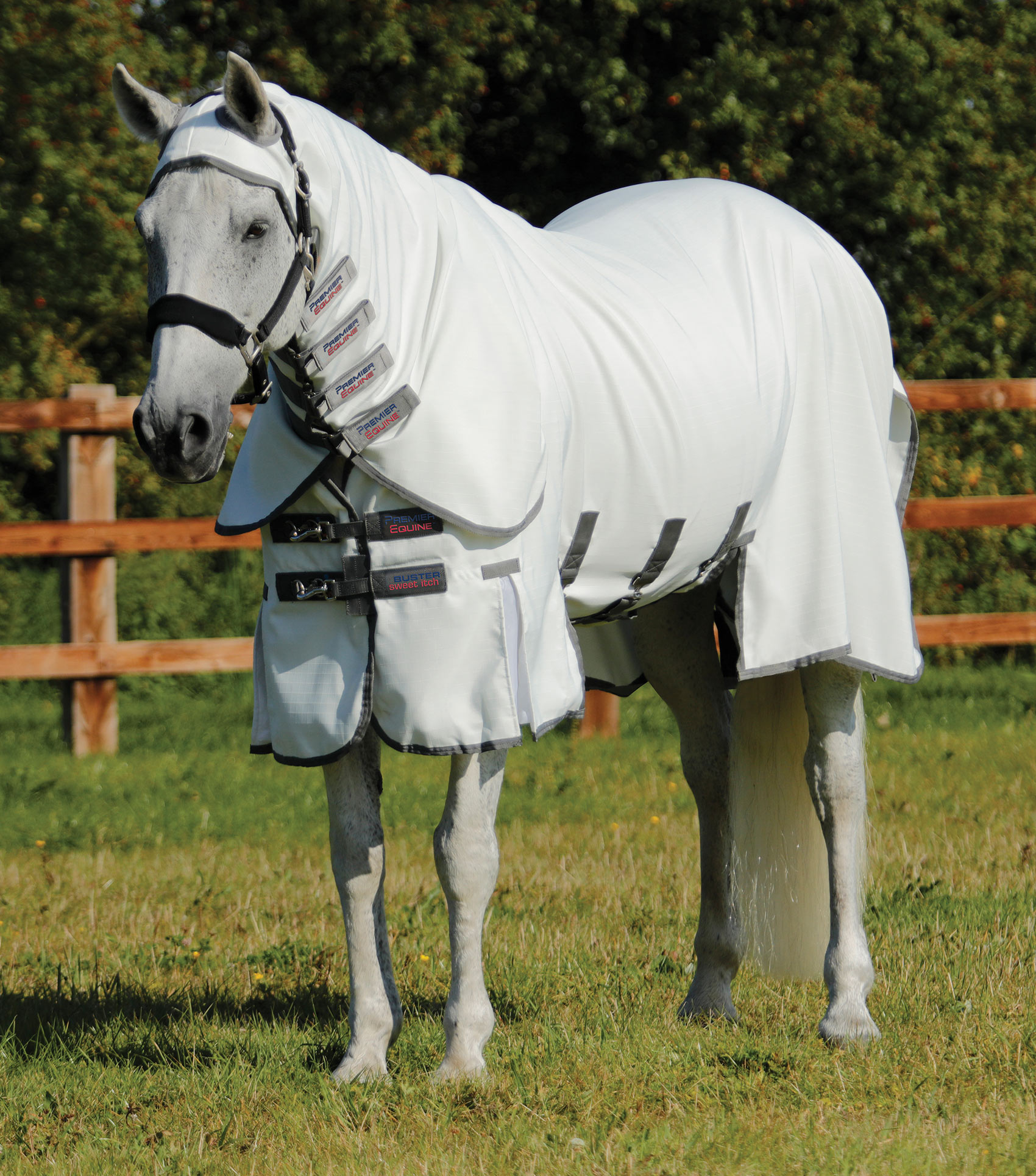 Premier Equine Sweet Itch Buster Fly Rug with Belly Flap