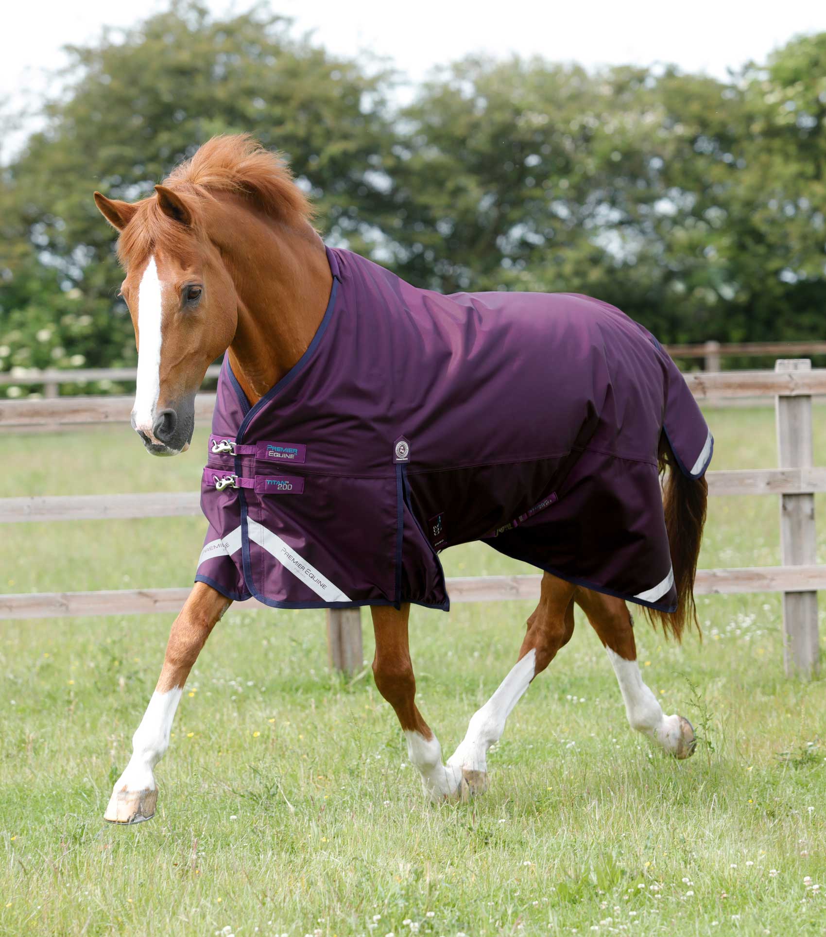 Premier Equine Titan 200g Original Turnout Rug