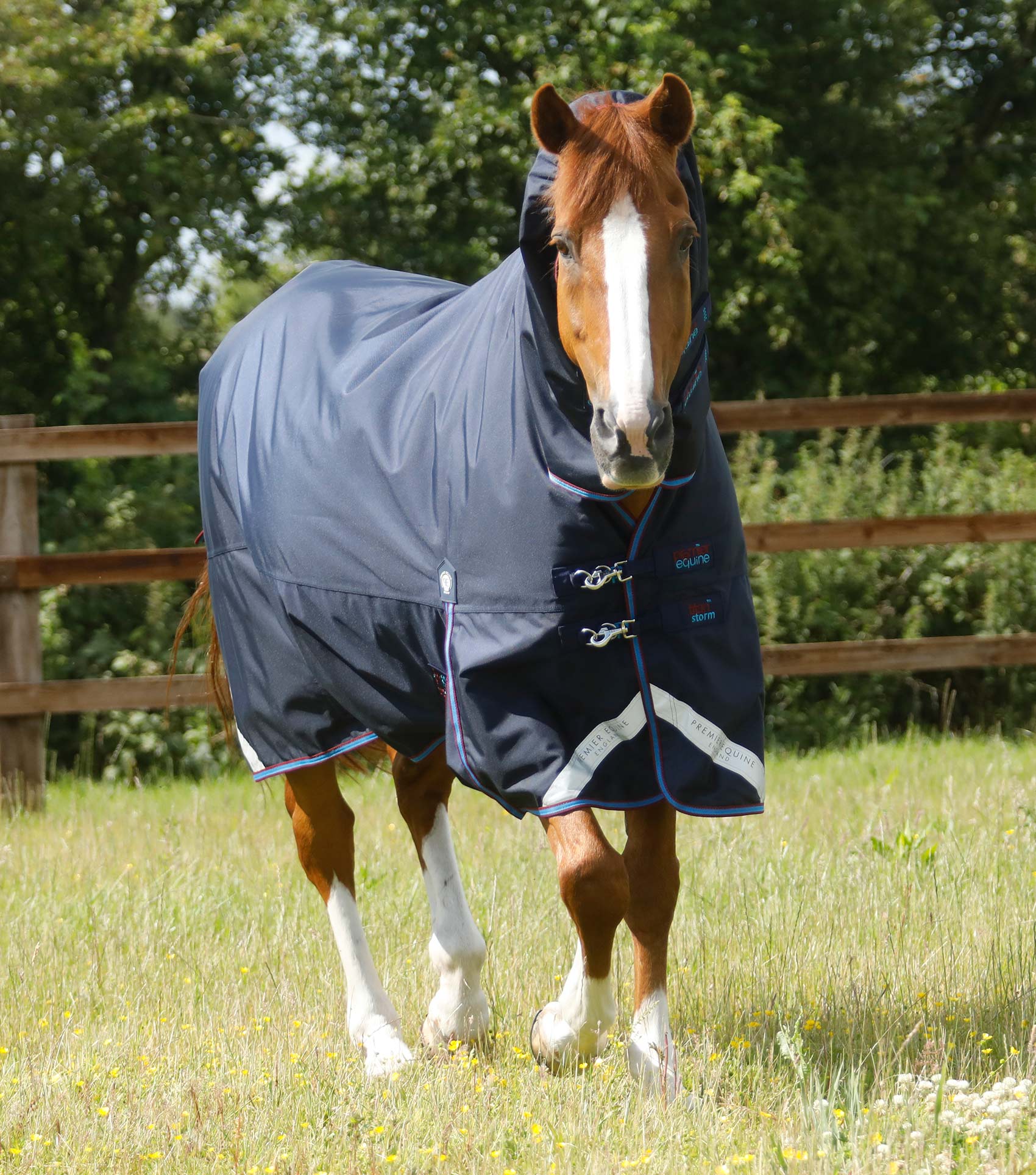 thumbnail image 2 of Autumnn Equestrian 200g Medium Weight Turnout Rug – Waterproof 600D Combo Neck, Bottle Green 2 of 6