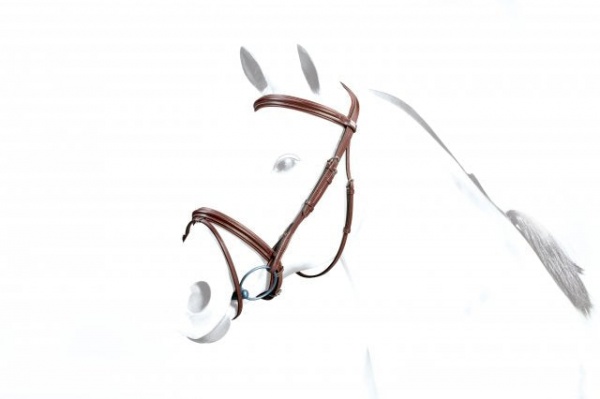 Equipe flash bridle no stress with reins
