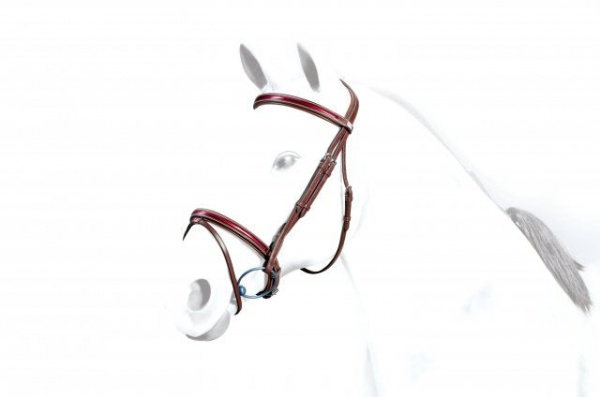 Equipe flash patent detail bridle with reins