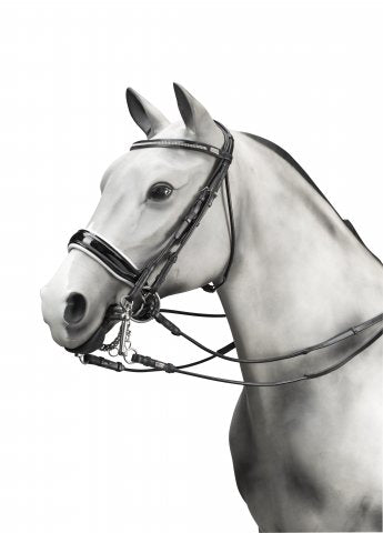 Equipe charlotte double bridle with reins